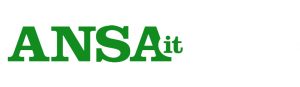 ANSA